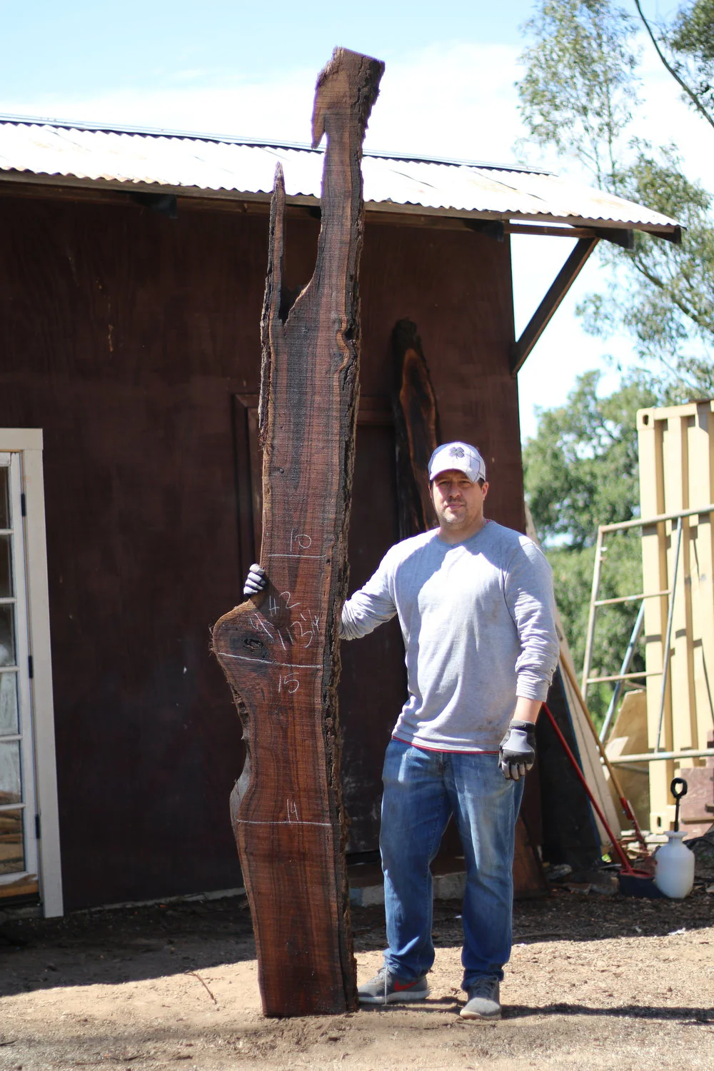 Walnut Slab H2